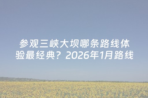 参观三峡大坝哪条路线体验最经典？2026年1月路线评测与3条推荐！