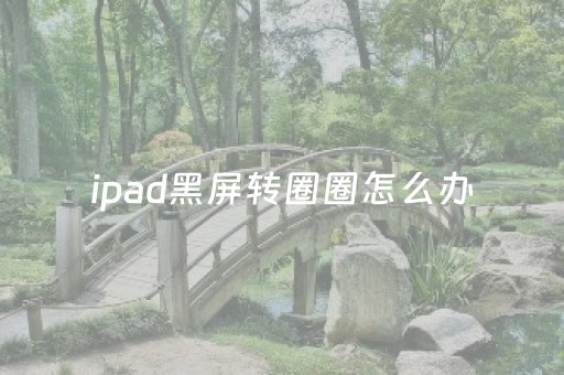 ipad黑屏转圈圈怎么办（ipad黑屏一直转）