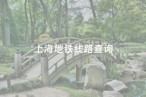上海地铁线路查询（上海地铁线路查询路线查询）