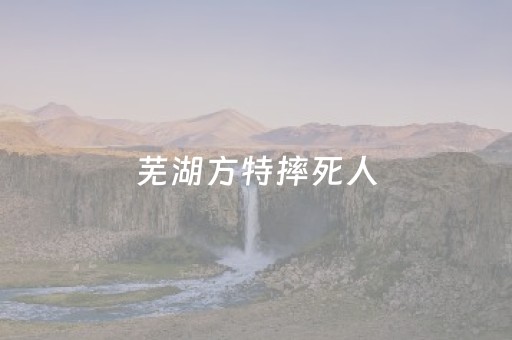 芜湖方特摔死人（2023
年芜湖方特）