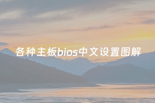 各种主板bios中文设置图解（各主板bios设置英文对照表）