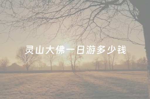 灵山大佛一日游多少钱（灵山大佛一日游多少钱人民币）