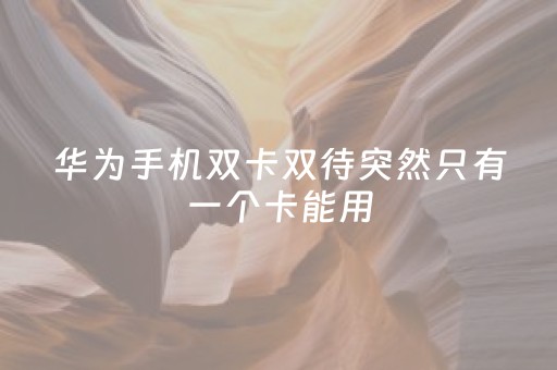 华为手机双卡双待突然只有一个卡能用（华为手机双卡双待突然只有一个卡能用4g）