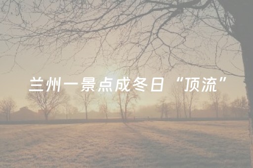 兰州一景点成冬日“顶流”