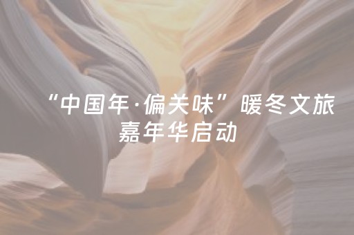 “中国年·偏关味”暖冬文旅嘉年华启动