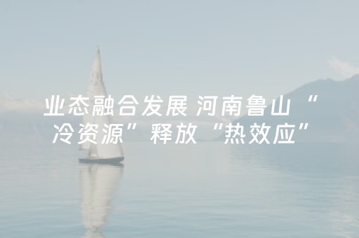 业态融合发展 河南鲁山“冷资源”释放“热效应”