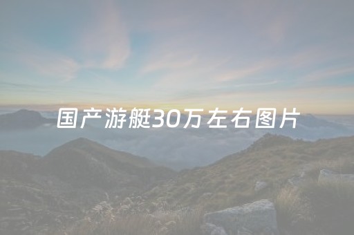 国产游艇30万左右图片（国产游艇30万左右图片内部）