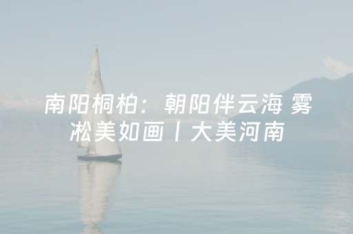 南阳桐柏：朝阳伴云海 雾凇美如画丨大美河南