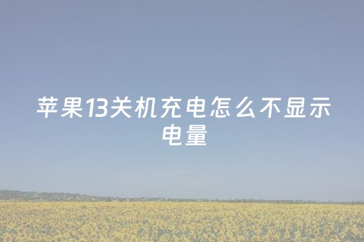 苹果13关机充电怎么不显示电量（ios13关机充电）