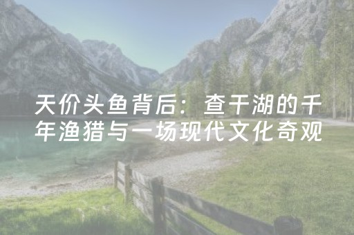 天价头鱼背后：查干湖的千年渔猎与一场现代文化奇观