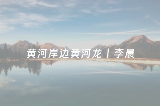 黄河岸边黄河龙丨李晨