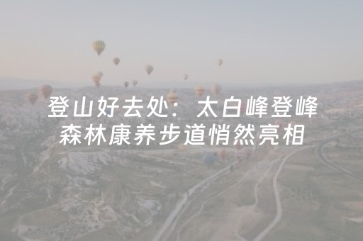登山好去处：太白峰登峰森林康养步道悄然亮相