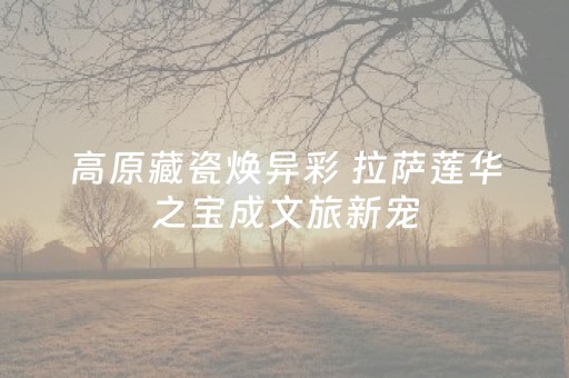 高原藏瓷焕异彩 拉萨莲华之宝成文旅新宠