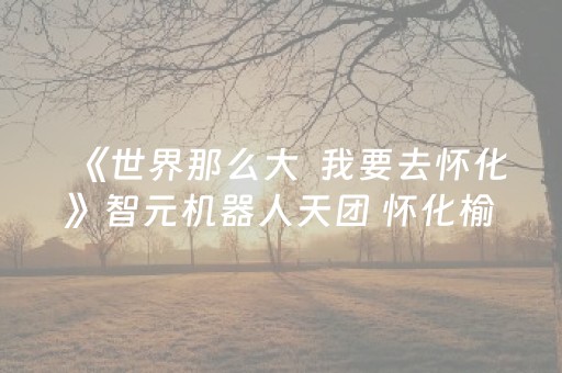 《世界那么大  我要去怀化》智元机器人天团 怀化榆树湾上演传统与现代的精彩对话