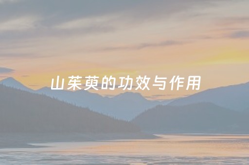 山茱萸的功效与作用（山茱萸的功效与作用与主治功能禁忌）
