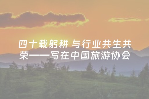 四十载躬耕 与行业共生共荣——写在中国旅游协会成立40周年之际