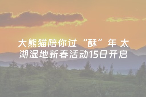 大熊猫陪你过“酥”年 太湖湿地新春活动15日开启