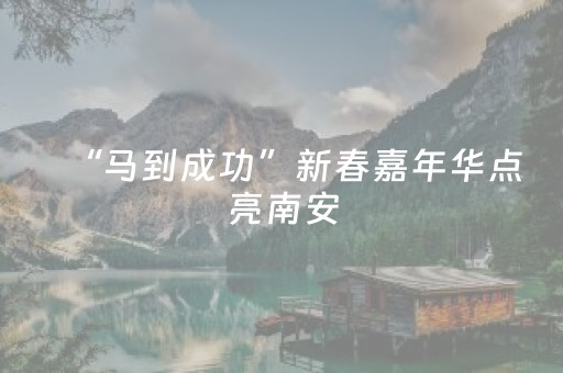 “马到成功”新春嘉年华点亮南安