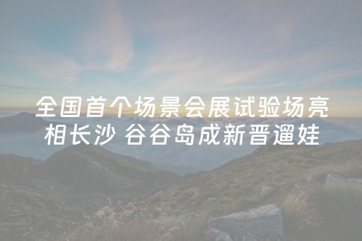 全国首个场景会展试验场亮相长沙 谷谷岛成新晋遛娃胜地