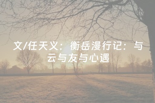 文/任天义：衡岳漫行记：与云与友与心遇