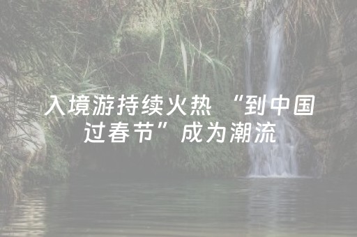 入境游持续火热 “到中国过春节”成为潮流