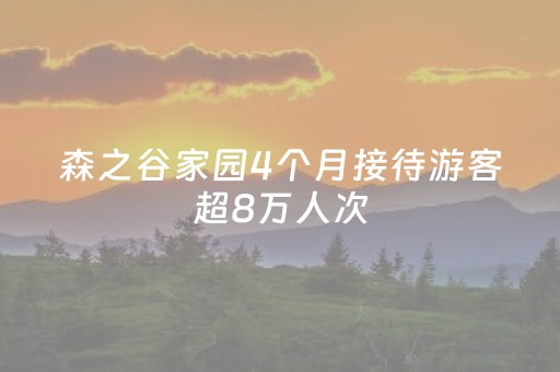 森之谷家园4个月接待游客超8万人次