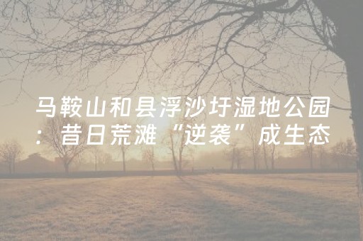 马鞍山和县浮沙圩湿地公园：昔日荒滩“逆袭”成生态名片