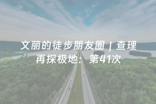 文丽的徒步朋友圈｜查理再探极地：第41次，这回有何不同？