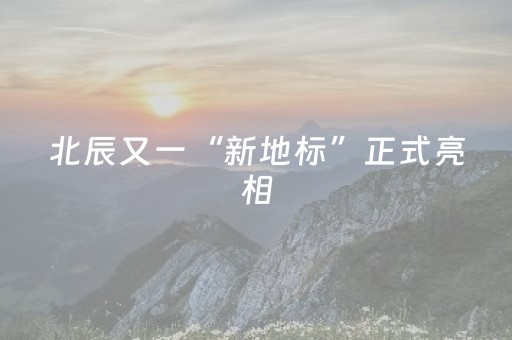 北辰又一“新地标”正式亮相