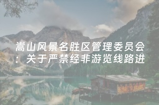 嵩山风景名胜区管理委员会：关于严禁经非游览线路进山的公告