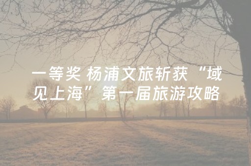 一等奖 杨浦文旅斩获“域见上海”第一届旅游攻略超级大赛（第一季）多项大奖