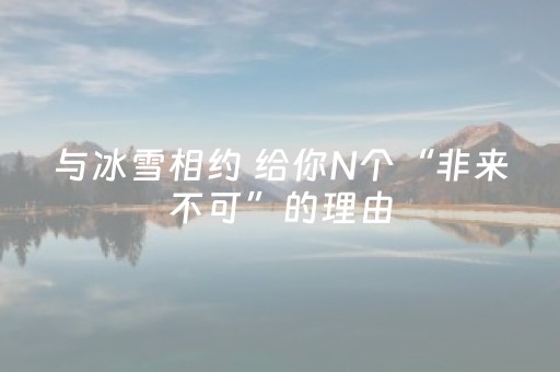 与冰雪相约 给你N个“非来不可”的理由