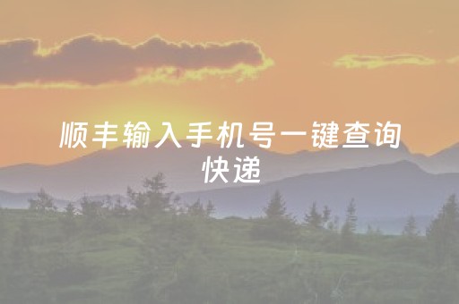 顺丰输入手机号一键查询快递（顺丰快递单号查询）