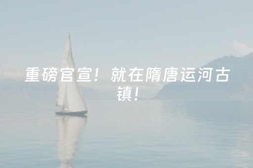 重磅官宣！就在隋唐运河古镇！