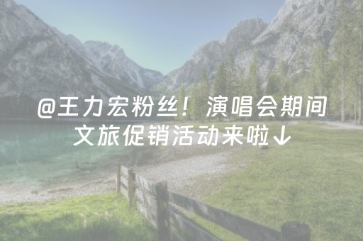 @王力宏粉丝！演唱会期间文旅促销活动来啦↓