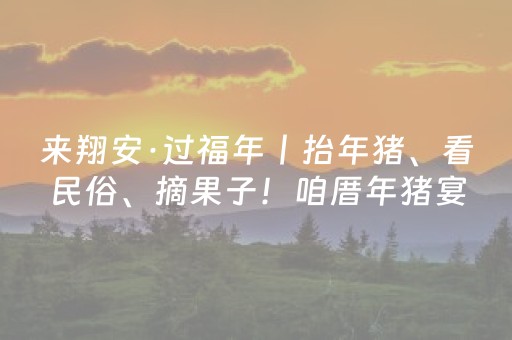 来翔安·过福年丨抬年猪、看民俗、摘果子！咱厝年猪宴来啦