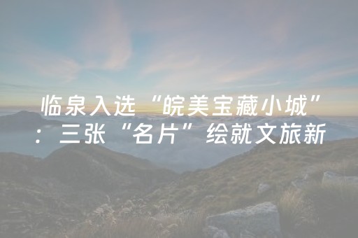临泉入选“皖美宝藏小城”：三张“名片”绘就文旅新画卷