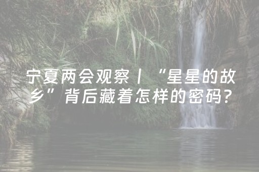 宁夏两会观察丨“星星的故乡”背后藏着怎样的密码？