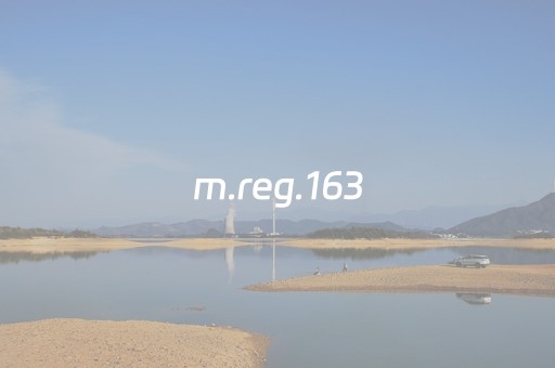 m.reg.163（mreg163co）