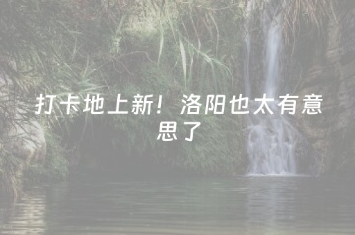 打卡地上新！洛阳也太有意思了