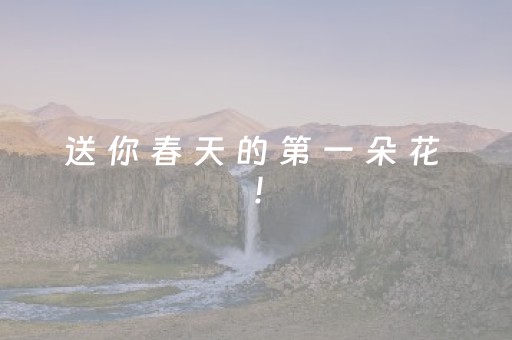 送 你 春 天 的 第 一 朵 花 ！