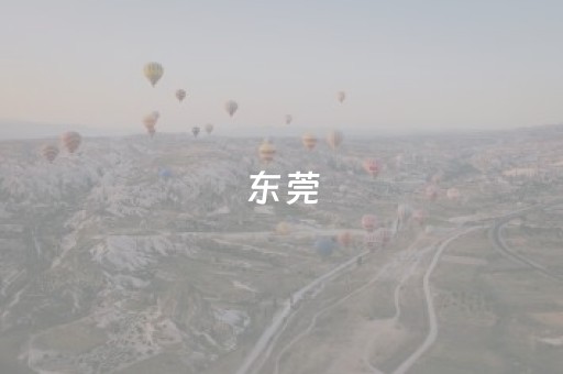 东莞，「飞」起来了！