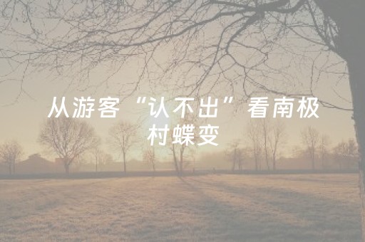 从游客“认不出”看南极村蝶变
