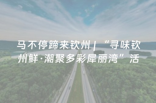 马不停蹄来钦州 | “寻味钦州鲜·潮聚多彩犀丽湾”活动交通指南→