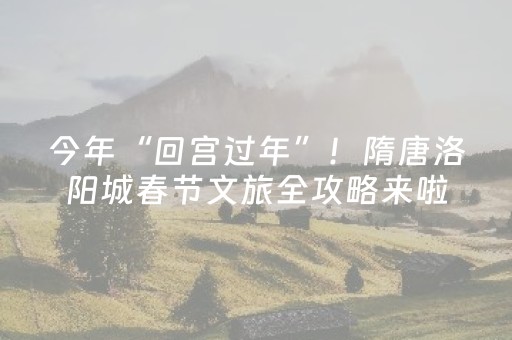 今年“回宫过年”！隋唐洛阳城春节文旅全攻略来啦
