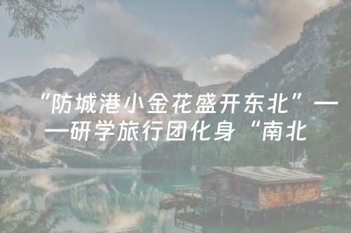 “防城港小金花盛开东北”——研学旅行团化身“南北交流小使者”开启2026年冬令营市场