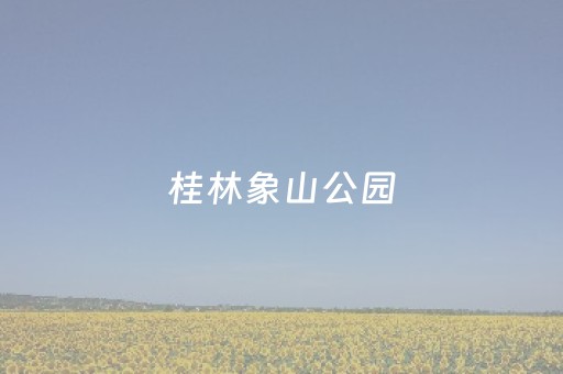 桂林象山公园（桂林象山公园免费吗）