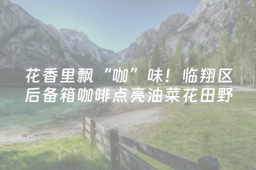 花香里飘“咖”味！临翔区后备箱咖啡点亮油菜花田野