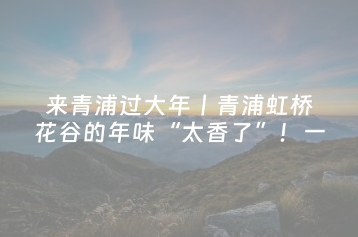 来青浦过大年丨青浦虹桥花谷的年味“太香了”！一步一玩法，“花”式过新春