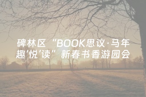 碑林区“BOOK思议·马年趣‘悦’读”新春书香游园会年味浓！
